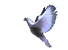 hmam1.gif (38658 bytes)