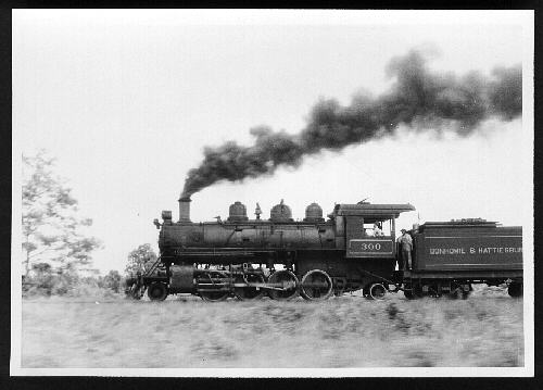 bhs_train.jpg - 27kb