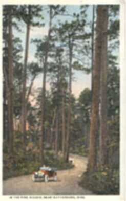 hauling_logs_near_hburg.jpg - 11kb