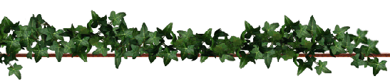 ivy graphics