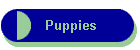 Puppies