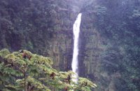 Vertical view of Akaka Falls