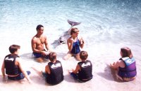 Teaching the kids the ways of the Dalphin
