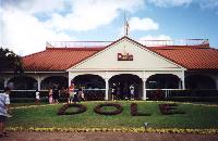 [ At the Dole Plantation ]