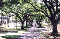 McCarthy Mall