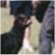 Hold and Bark thumbnail