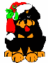 Rottie with Christmas Wreath around his neck