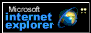MS Internet Explorer logo