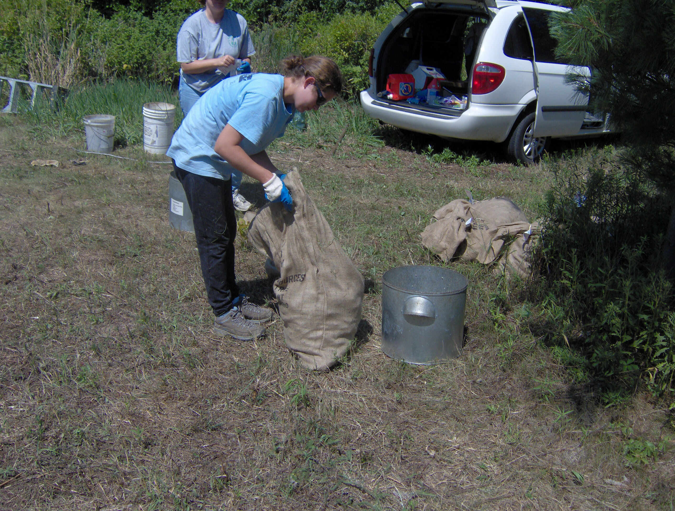 bagging up cones