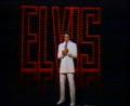 www.elvis.com