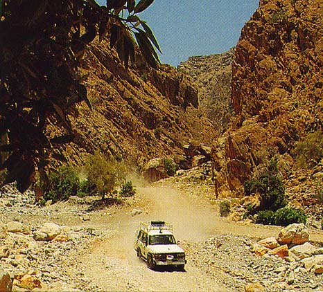 Offroad In The UAE