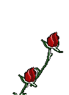 4 u