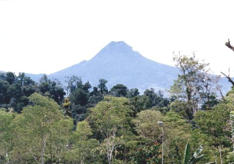 Mt. Matutum, in Southern Mindanao