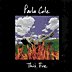 Paula Cole :: This Fire. Very powerful cd. Fave song 'road to dead'