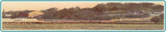 The Bridges of Creemore Mills: 1832-1871 - researched and written by Helen Emmett Blackburn, is an account of local history and provides insight in to the struggles our forbearers overcame -  available for purchase in the PUBLICATIONS section