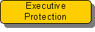 Executive Protection