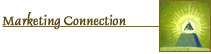 Download Quarterly Marketing Insights for Bank Marketing Executive.