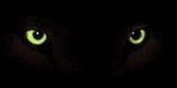 BIG MOEDER DK IS WATCHING YOU
