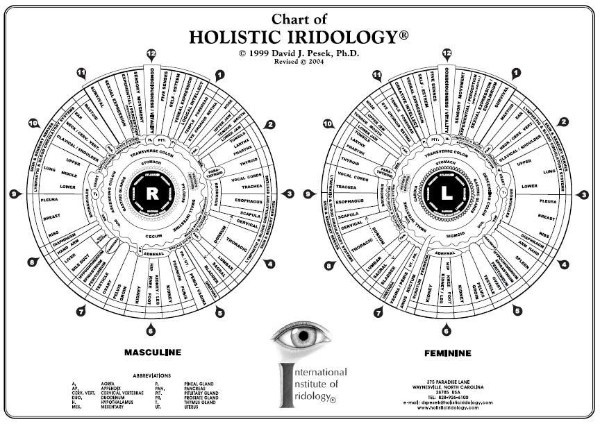 Chart of Holistic Iridology