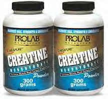 prolab300x2.bmp (128358 bytes)
