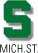 MICHIGAN STATE