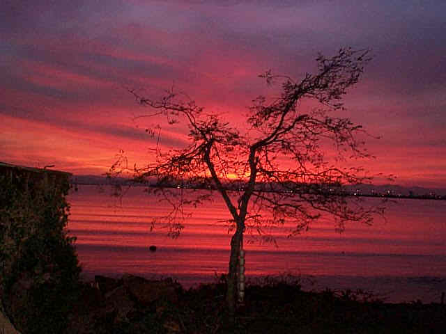 November Sunset