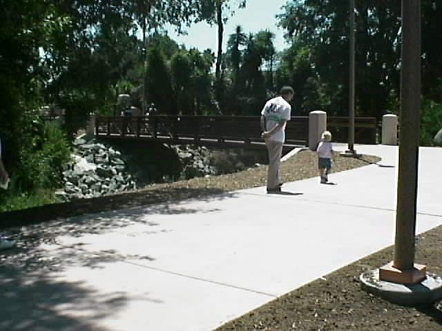 Bridge Pic 1