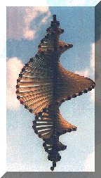 whirly.GIF (31561 bytes)