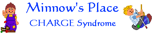 minnow's place
