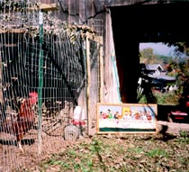 painting, The Last Brunch, and rooster