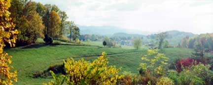 view from the author's deck