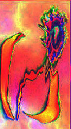 Click for Word Preserve Volume 5