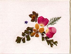 note card, by Gail Rohrer