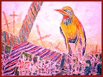 bird