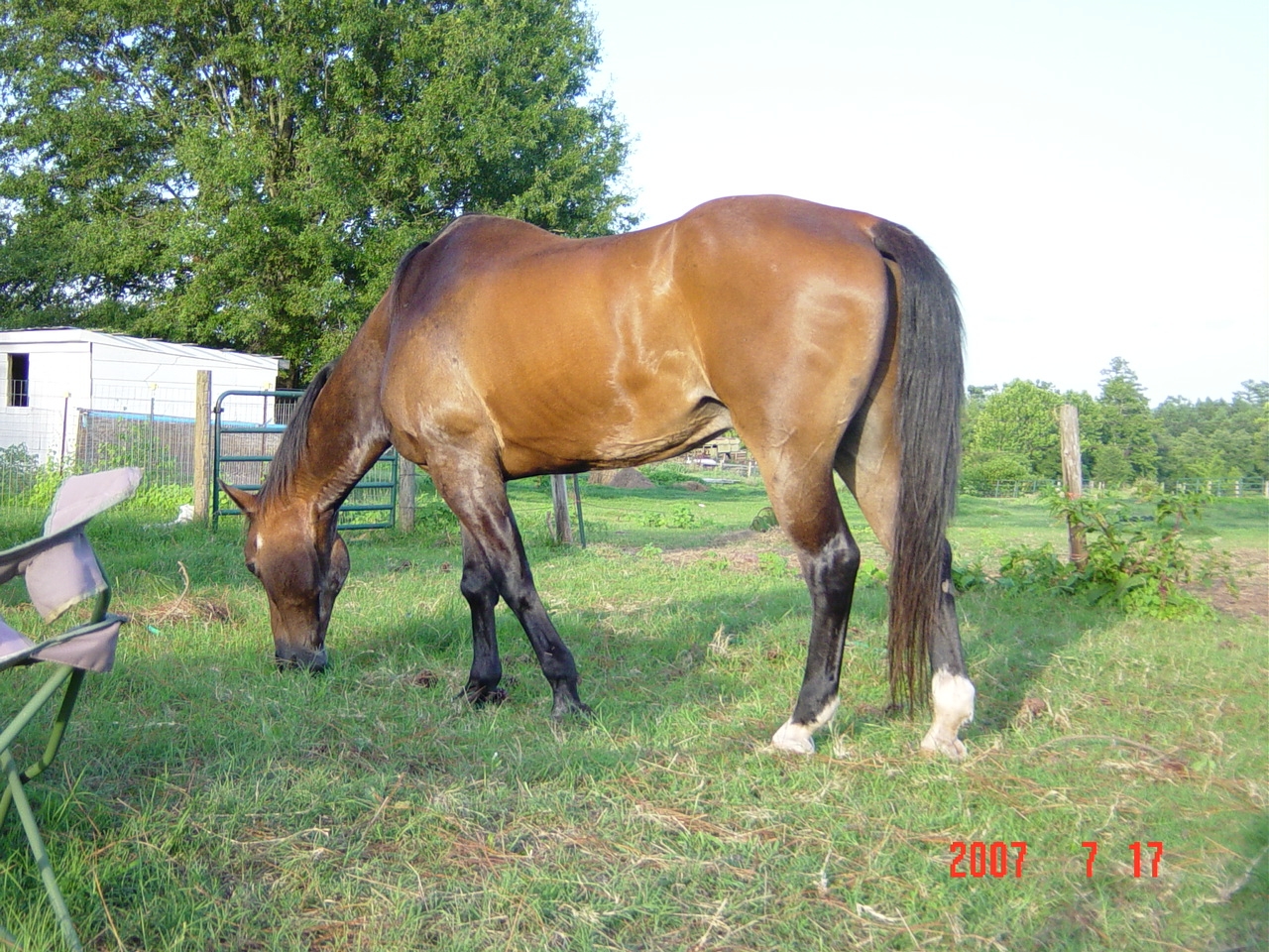 Cajun at Age 29