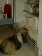 Oh I found something in here