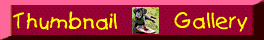 Thumbnail Gallery