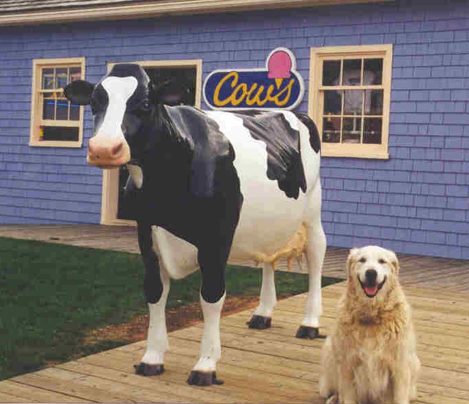 COWS