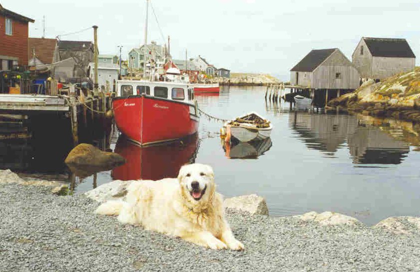Fishing Village picture
