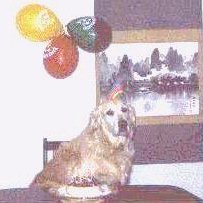King and his birthday hat