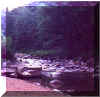 Swift River