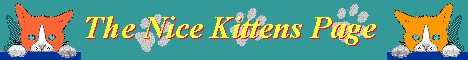The Nice Kittens Page