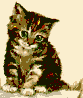 Kitten Tips