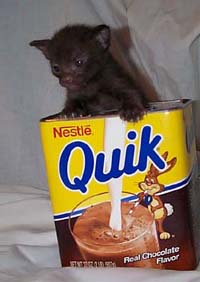 Chocolate