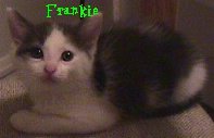 Frankie