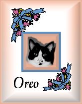 Oreo