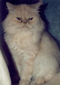 Sebastin