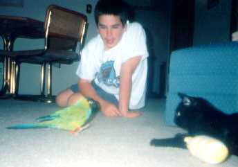I'm coming for you, cat!
