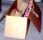 There must be some reason she left this box sitting here.