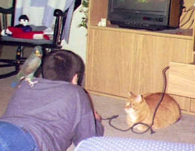 Now how do you play this game again?